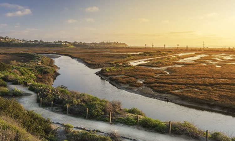 San Elijo Lagoon Ecological Reserve and Nature Center Cardiff Vacations